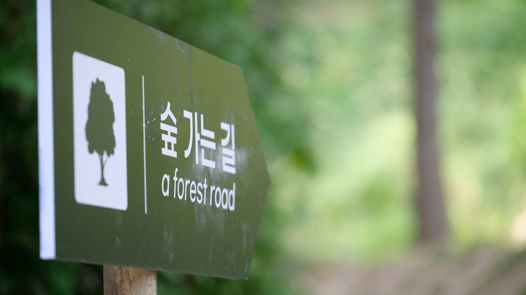 숲 가는 길 이정표