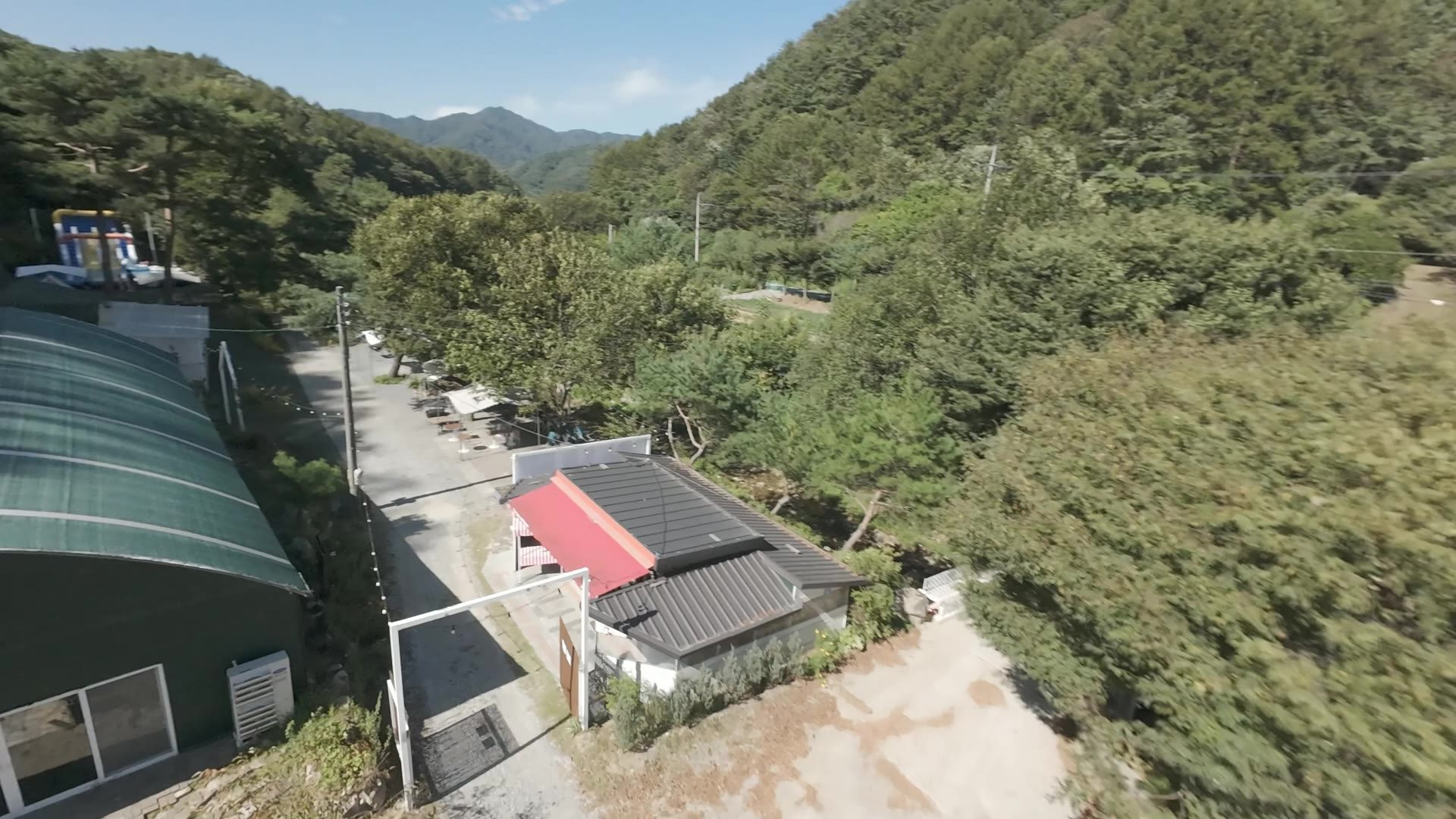 나무 사이로 난 숲길
